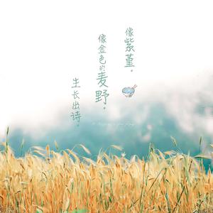 2021无码在线观看
